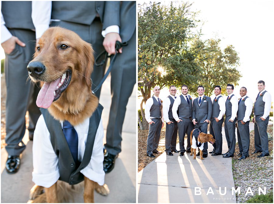 san diego wedding photography, san diego weddings, san diego, weddings, Crossings at Carlsbad, Crossings at Carlsbad weddings, Crossings at Carlsbad wedding photography, carlsbad wedding, sweet, love, marriage