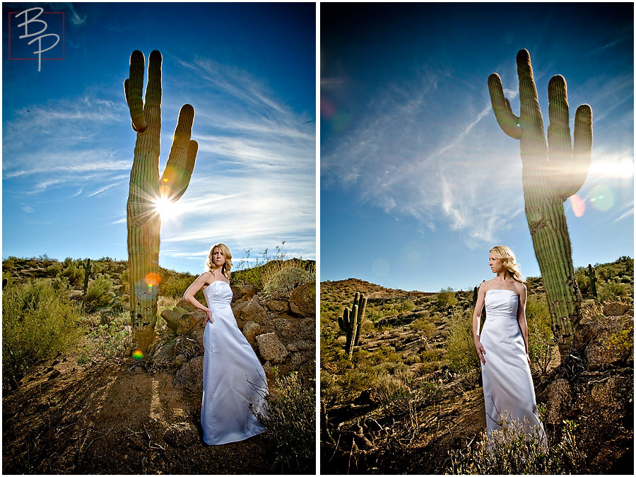 Arizona bride with cactus