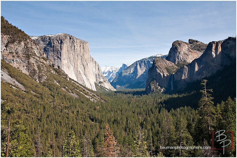 green scenery landscape in Yosemite