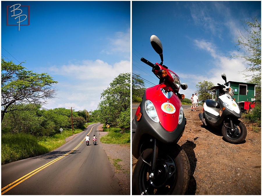 maui landscape photograph