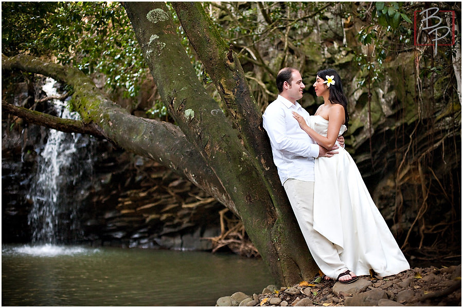 trash the dress