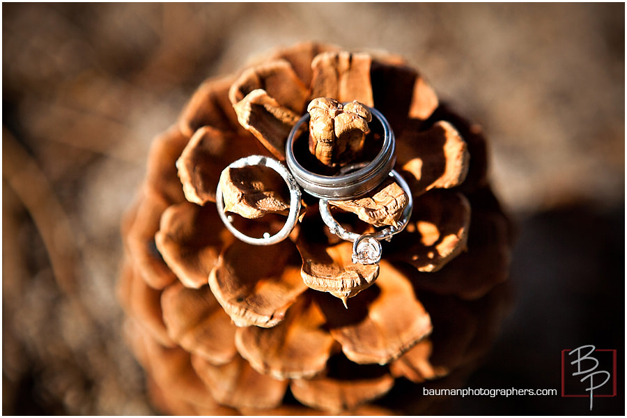 wedding details photo Kehlet Mansion 