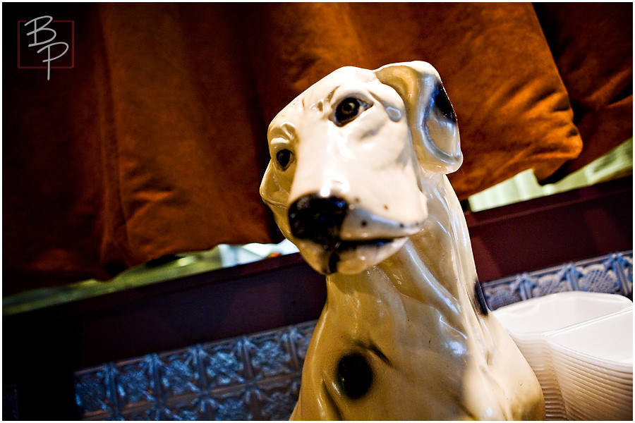 Sit! Good Dog!