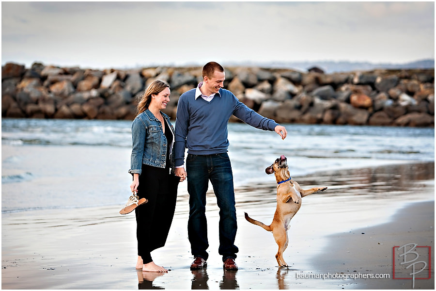 Dog Beach session