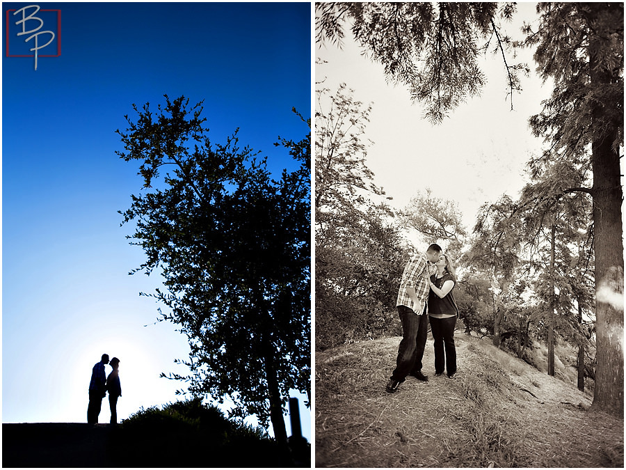 Harsanik engagement session