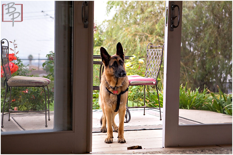 San Diego Wedding Details Photography