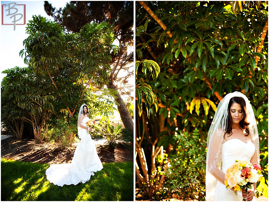 San Diego Wedding portrait