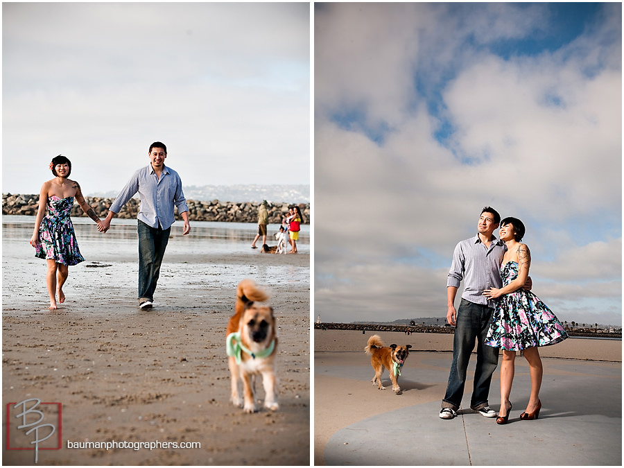 Dog Beach Portraits