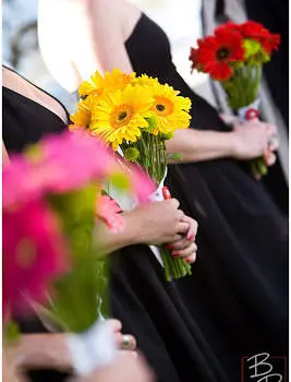 Bouquets and Socks: Fun with Color