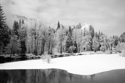 Winter Wonderland in Yosemite