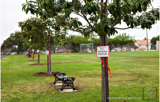 Donation Event Photography :: San Diego, CA