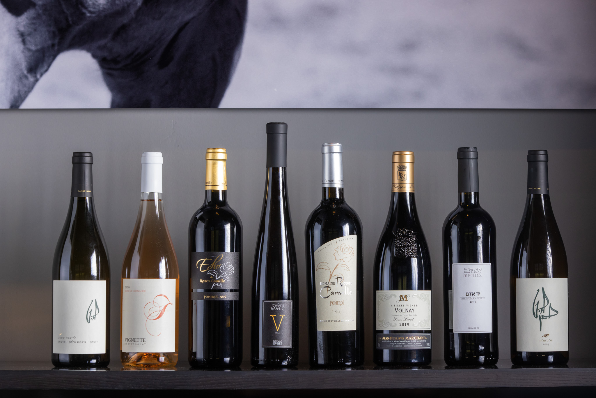 Wine bottles lined up on a dark shelf